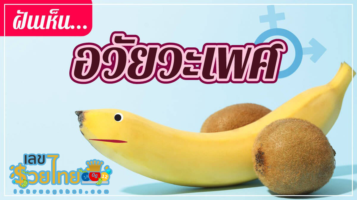 ฝันเห็นอวัยวะเพศ ทำนายฝันหมายความว่าอย่างไร พร้อมเลขเด็ดให้โชค