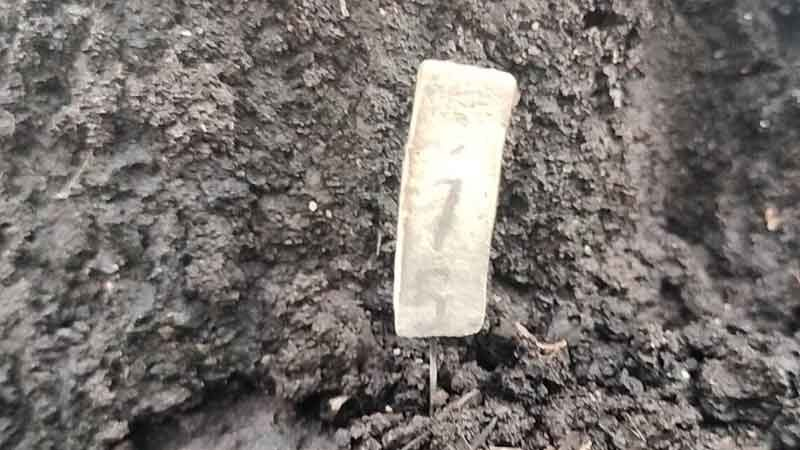 ชาวบ้านพากันแต่งขันธ์5 ขอเลขเด็ด