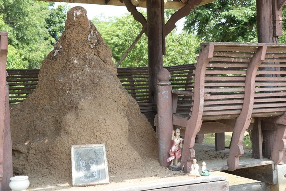 จอมปลวกคล้ายฤาษี กลางศาลาวัด-"An anthill resembling a hermit"