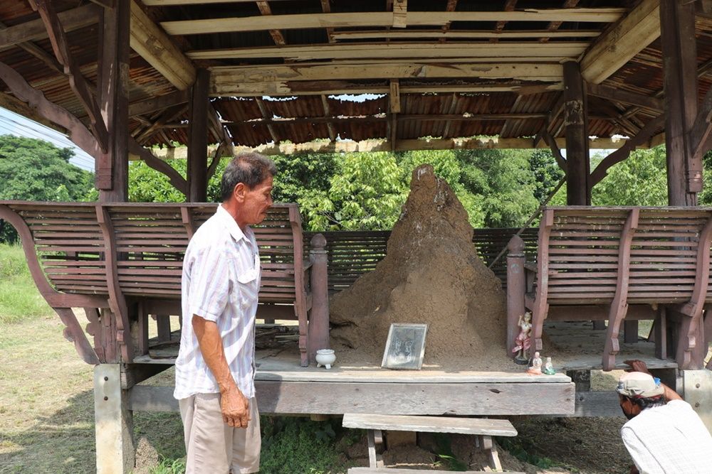 จอมปลวกให้โชค-"Anthill gives good luck"