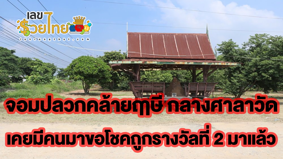 จอมปลวกคล้ายฤาษี กลางศาลาวัด เคยมีคนมาขอโชคถูกรางวัลที่ 2 มาแล้ว คอหวยไม่ควรพลาด งวด 1 พฤศจิกายน 2566