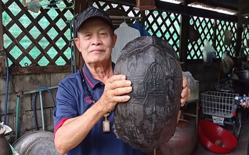 เลขเต่า เลขอะไร-"What's the turtle number"