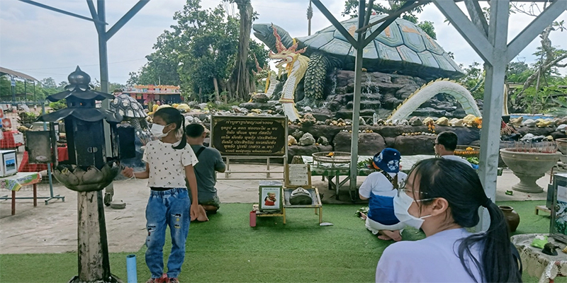 ขอโชค พญาเต่างอย-"Wish for luck, Phaya Tao Ngoi"