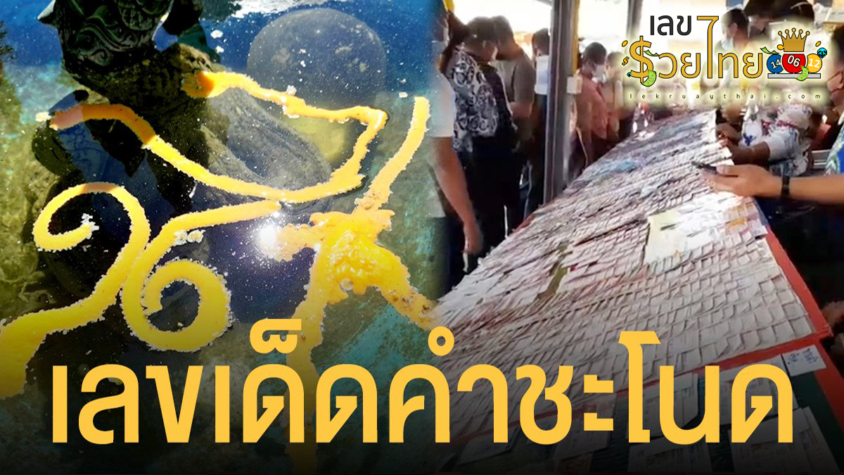 เลขคำชะโนด 1 11 66 ส่องเลขเด็ด เลขดัง ได้ที่นี่ คอหวยห้ามพลาด!!