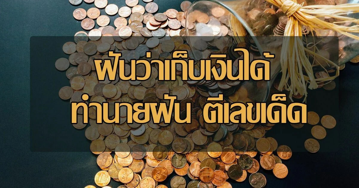 ฝันว่าได้เก็บเงิน-"Dreaming of collecting a broken banknote"