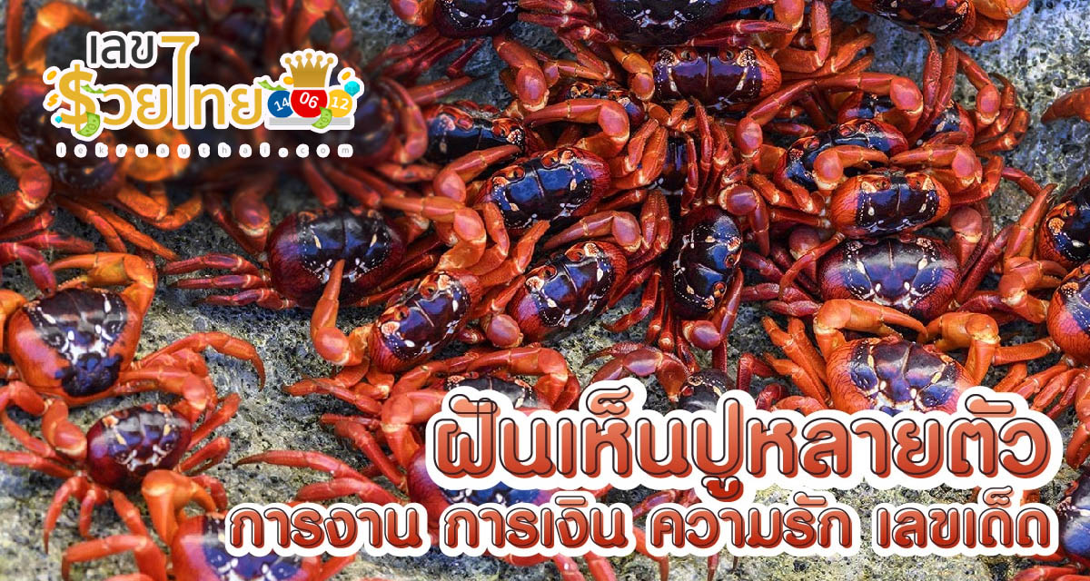 ฝันเห็นปูปลาเยอะมาก หมายความว่าอย่างไร  ความรัก การเงิน การงาน พร้อมเลขเด็ด แม่นๆ ที่เกี่ยวกับความฝัน เช็กเลย!