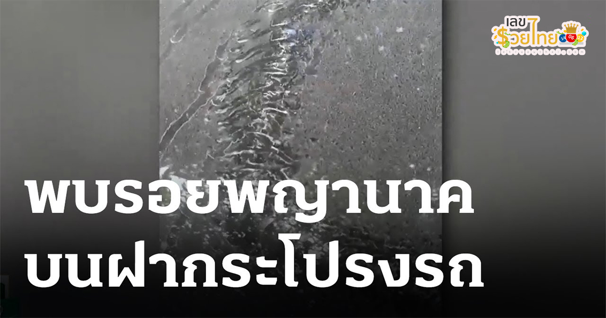 แห่ส่องเลขเด็ดรอยปริศนาฝากระโปรงรถ คอหวยแห่ส่องเลขเด็ด หวยดัง เชื่อเป็นลอยพญานาค คอหวยไม่ควรพลาด