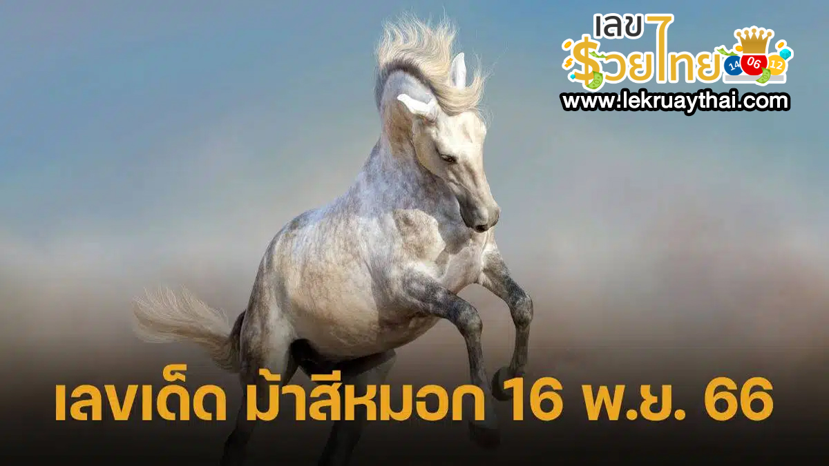 ม้าสีหมอก 16 11 66 แจกเน้นๆ เลขเด็ดงวดนี้ แนวทางหวยรัฐบาล แม่นๆ