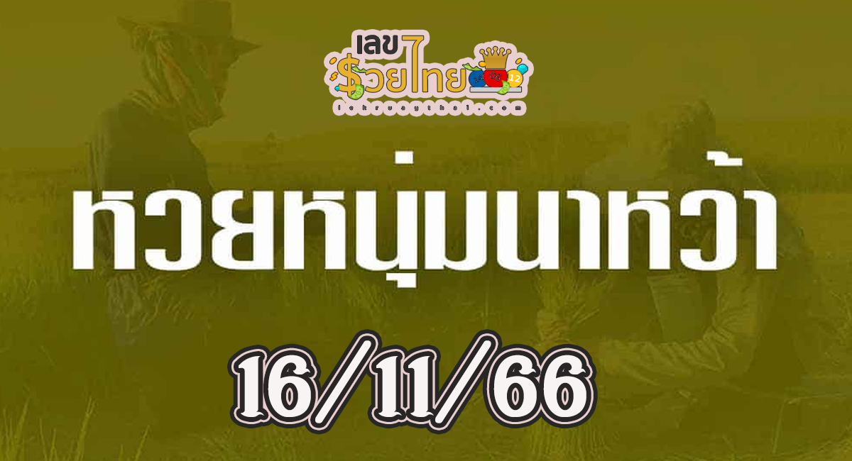 เลขหนุ่มนาหว้า งวดวันที่ 16 พฤศจิกายน 2566 งวดนี้คอหวยห้ามพลาด! ส่องเลขเด็ด แนวทางแม่นๆ