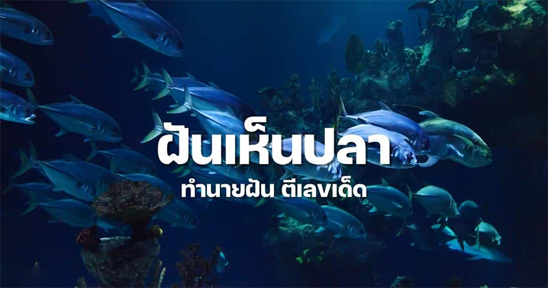 ทํานายฝัน lotto-"lotto dream interpretation"