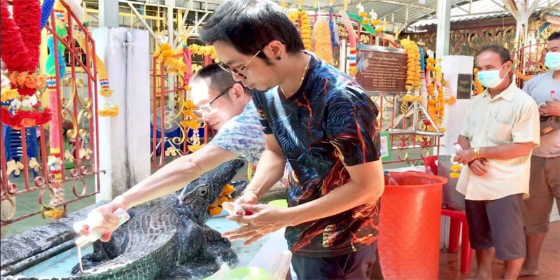จระเข้เรียกทรัพย์-"Crocodile brings wealth"