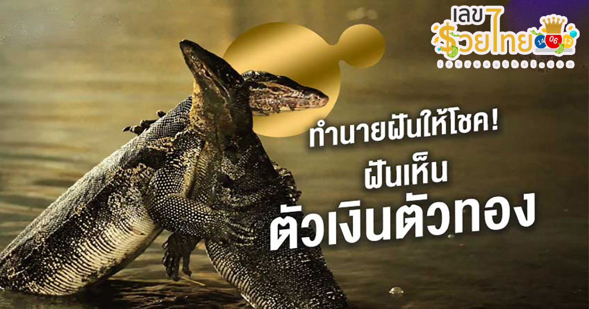 ฝันเห็นตัวเหี้ย “ฝันเห็นตัวเงินตัวทอง” หมายถึงอะไรพร้อม “เลขเด็ด” ที่เกี่ยวกับความฝัน
