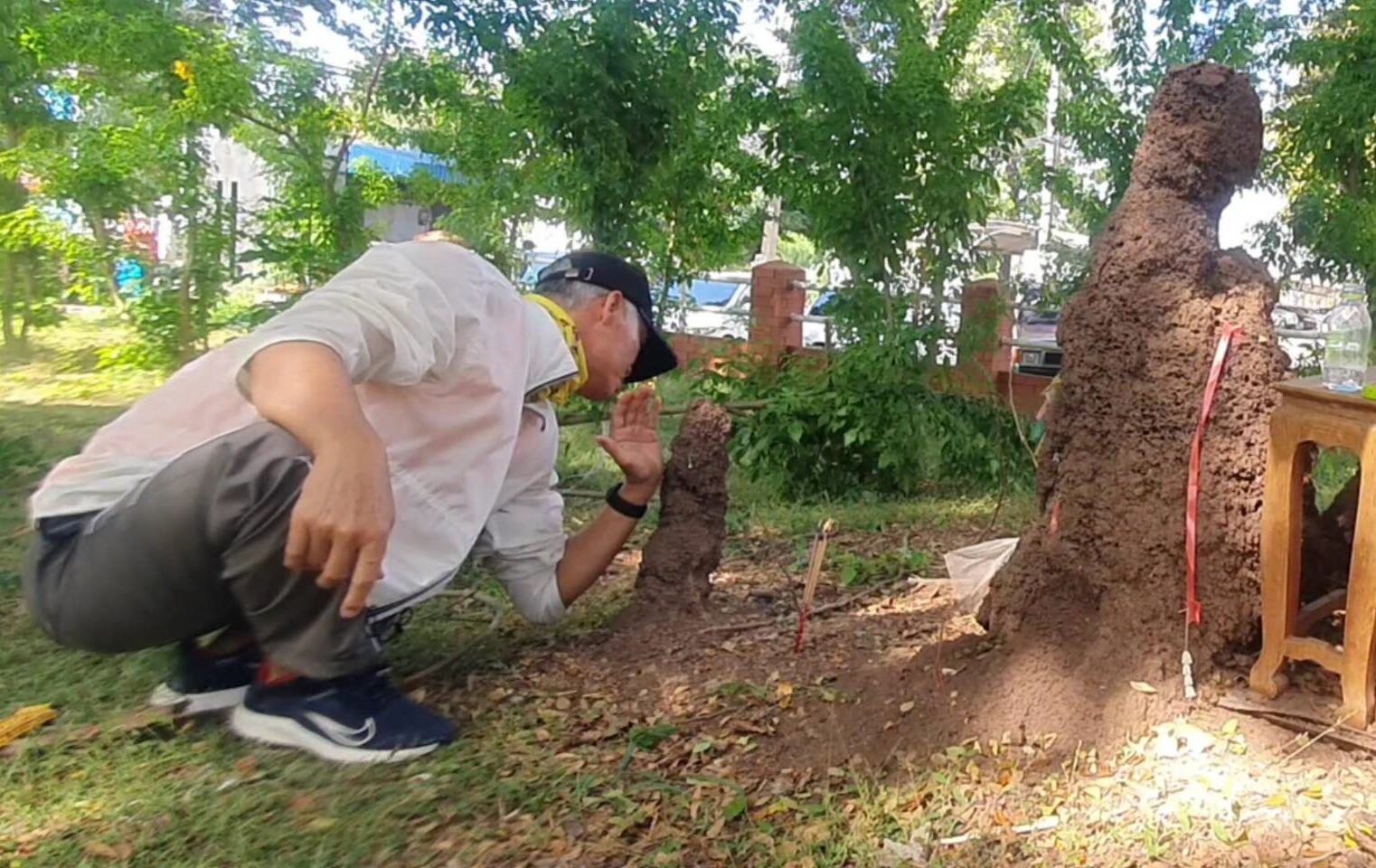 ฝันเห็นจอมปลวก - "Dream of seeing an anthill"