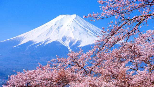 ฝันเห็นภูเขาสูง -"Dream of seeing high mountains"
