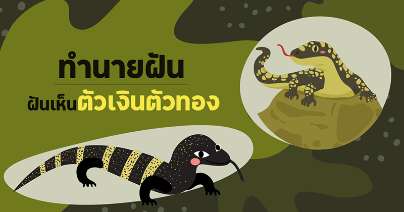 ฝันเห็นแลน1ตัว-"Dreamed of seeing 1 lantern."