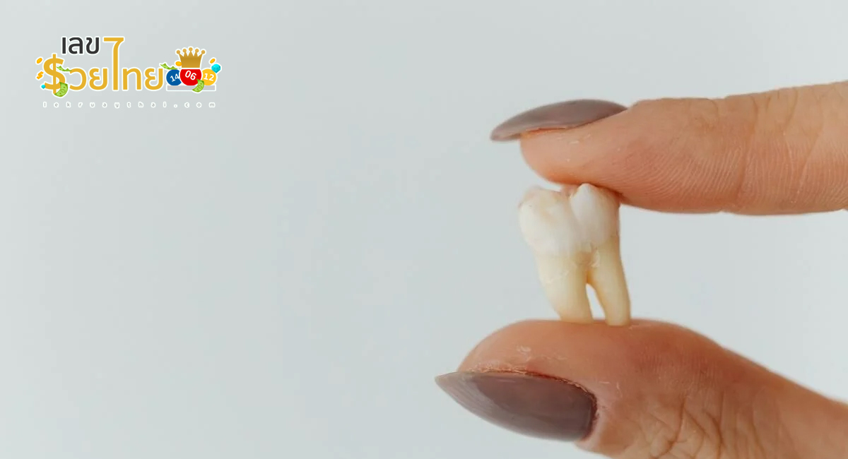 ฝันว่าฟันร่วงเกือบหมดปากแต่ไม่มีเลือด - "Dreamed that almost all of your teeth fell "