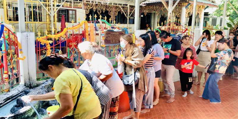 ขอโชครูปปั้นจระเข้-"Great lottery, famous lottery"