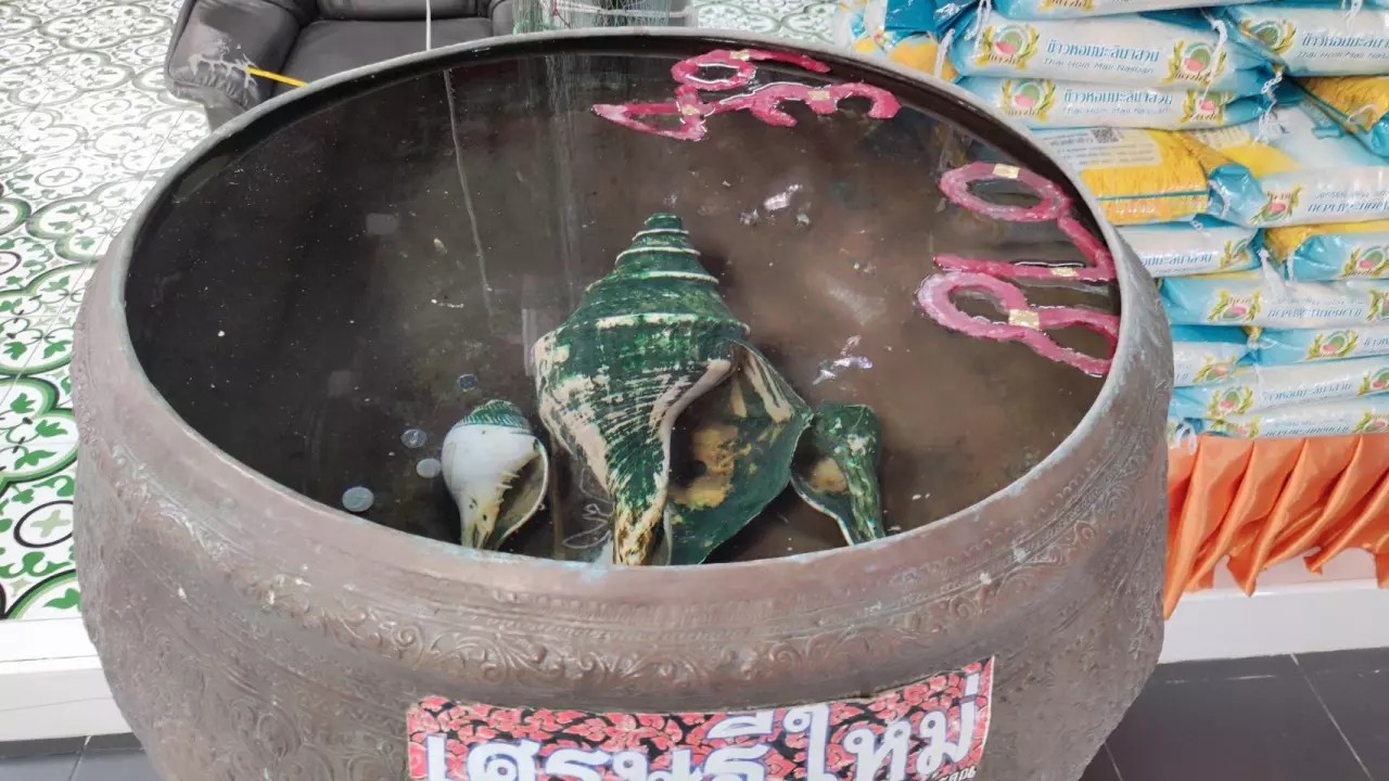 เลขอ่างน้ํามนต์ ฤาษีเณร ล่าสุด - "Look at lucky numbers"