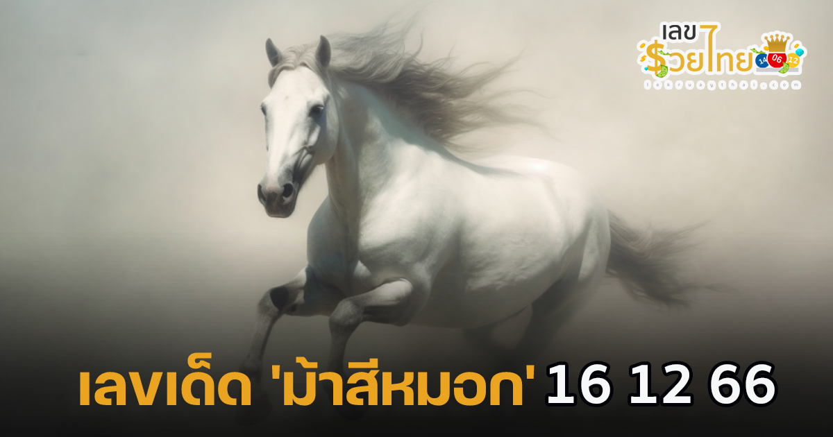 ม้าสีหมอก 16 12 66 คอหวยห้ามพลาดส่องเลขเด็ด แนวทางหวยรัฐบาลไทยแม่นๆ รีบจดด่วน!!
