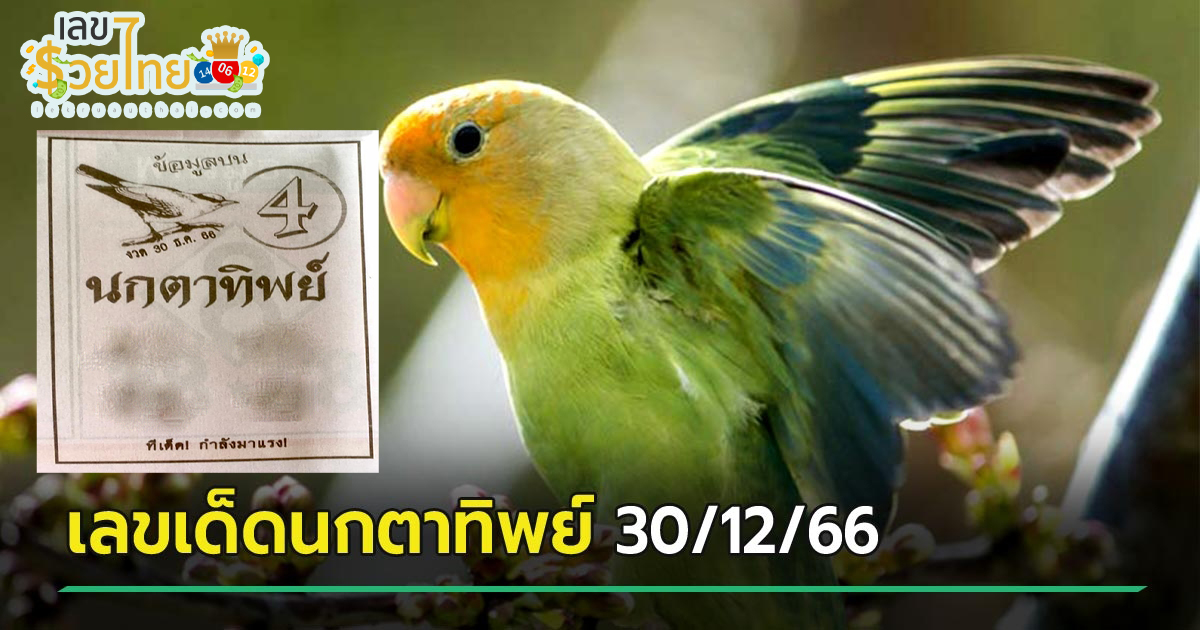 นกตาทิพย์  30 12 66 งวดวันที่ 30 ธันวาคม 2566 คอหวยห้ามพลาดส่องเลขเด็ด 2ตัว 3ตัว แนวทางแม่นๆรีบจดด่วน