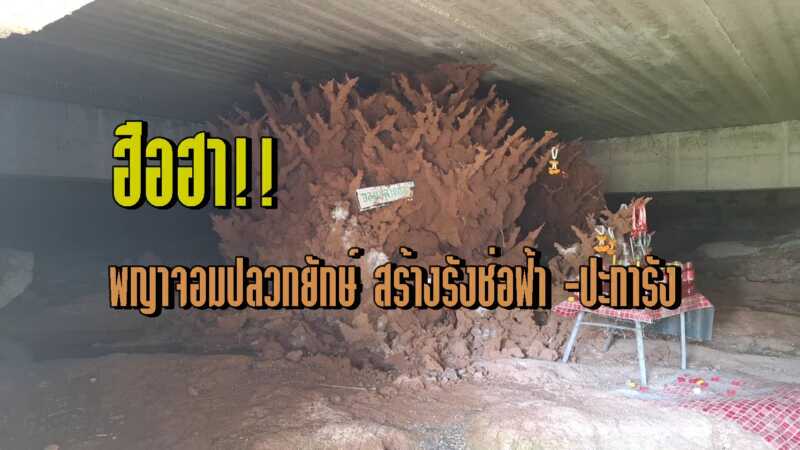 นางพญาปลวก ความเชื่อ-''Termite queen beliefs''