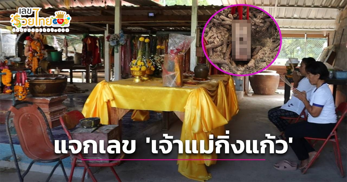มาแล้ว! แจกเลข ‘เจ้าแม่กิ่งแก้ว’ ต้นโพธิ์อาถรรพ์ หลังชาวบ้านแห่ถวายแก้บนให้หวยสุดแม่น ให้โชคแม่นมาก