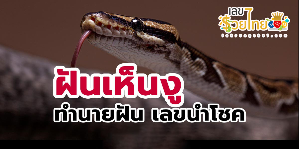 ฝันเห็นงูเหลือม 1 ตัว  ทำนายฝัน พร้อมบอกความหมายว่ายังไง พร้อมบอกเลขเด็ดนำโชค!