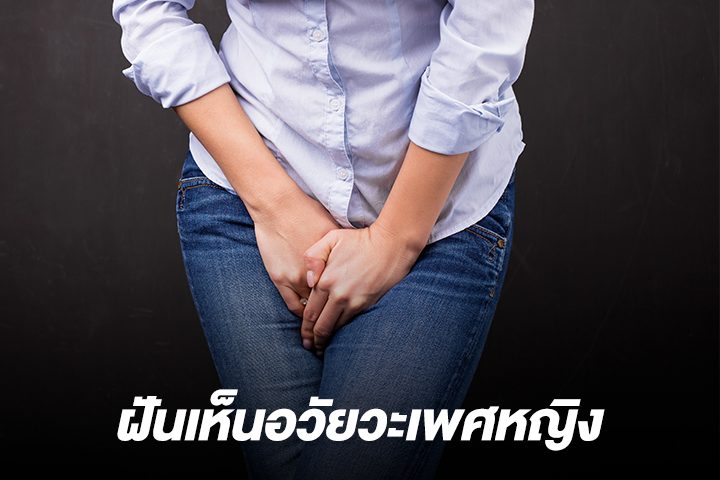 ฝันเห็นอวัยวะเพศหญิง-"Dream of seeing female genitals"