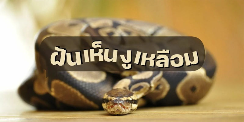 ฝันเห็นงูเหลือม 1 ตัว -"Dream of seeing a python"