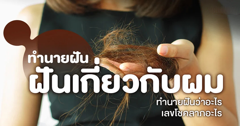 ฝันว่าผม ตัว เอง ยาว ดำ-"Dreamed that my own hair was long and black."
