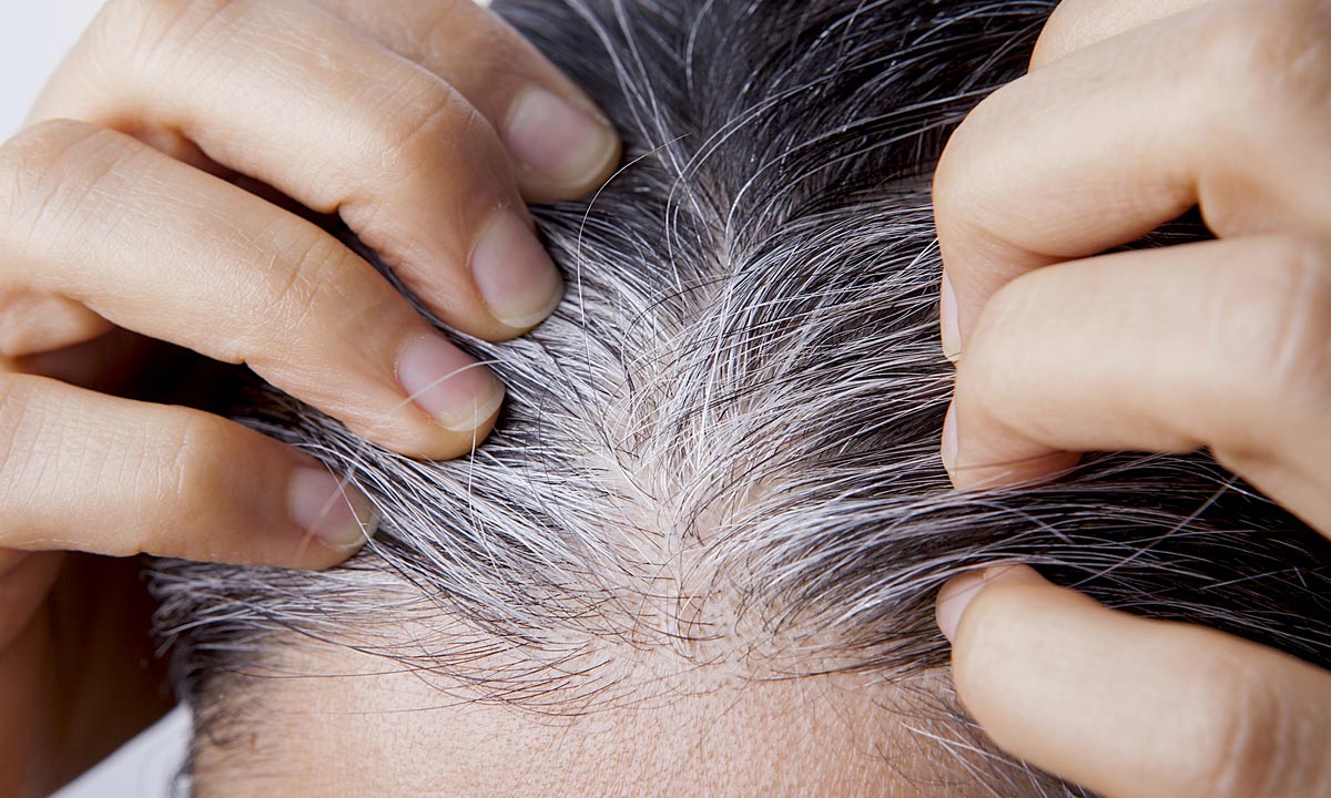ฝันว่าถอนผมหงอกตัวเอง-"Dreaming about pulling out your own gray hair."