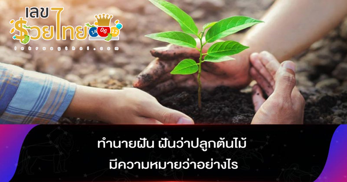 ฝันว่าปลูกต้นไม้ต้นใหญ่ ฝันว่าปลูกต้นไม้ เลขเด็ด ทำนายฝัน พร้อมบอกความหมาย