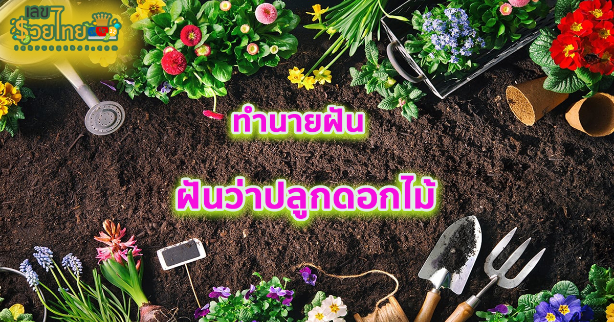 ฝันว่าปลูกดอกไม้ ฝันเห็นดอกไม้ ฝันว่าได้ปลูกดอกไม้ มีความหมาย ว่ายังไง? พร้อมเลขเด็ด