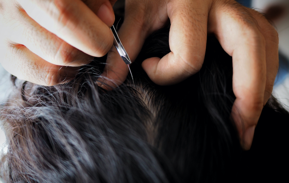 ฝันว่าได้ถอนผมหงอกเลขเด็ด-"Human,Hand,Holding,Tweezers,And,Plucking,Gray,Hair,From,Head."