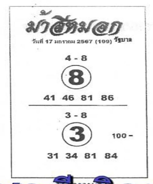 ม้าสีหมอก 17 01 66-" Ma Si Mok-17 01 66"