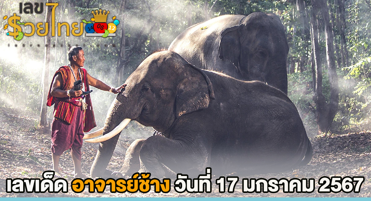 อาจารย์ช้าง 17 01 67 แนวทางเลขเด่นหวยเด็ดสุดแม่นๆ คอหวยไม่ควรพลาดแนวทางแทงหวยรัฐบาลไทย