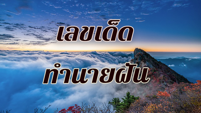 ฝันเห็นทะเลหมอก-"Dream of seeing a sea of ​​mist"