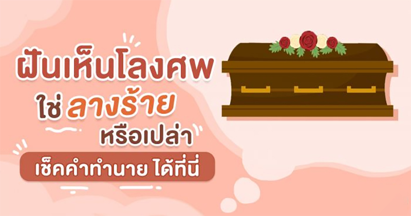 ฝันเห็นช้าง-"Dream of seeing an elephant"