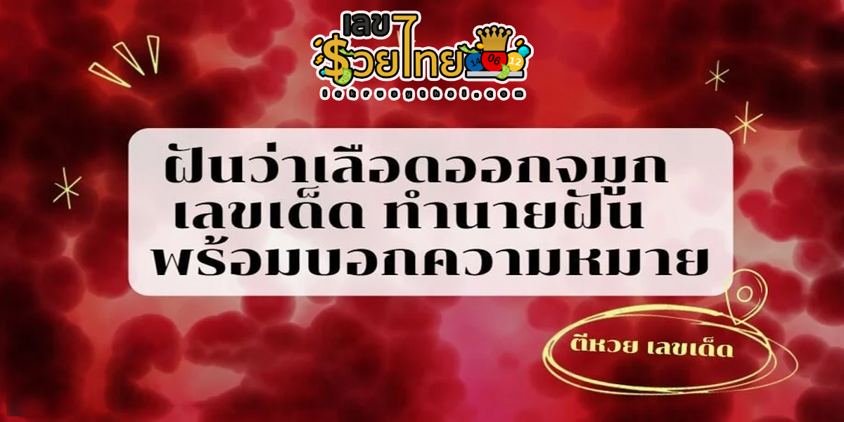 ฝันว่าเลือดออกจมูก จะสามารถตีความว่าอะไรได้บ้าง พร้อมมองหาเลขเด็ดที่ควรเก็ง หวยที่ควรซื้อ จากความฝันนี้กันเลย