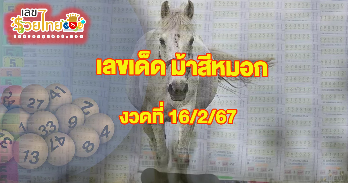 ม้าสีหมอก 16 02 67 มาแล้วกับแนวทางหวยรัฐบาลไทย เลขเด็ด แม่น ๆ ดูที่นี่ ที่เดียว ห้ามพลาด !