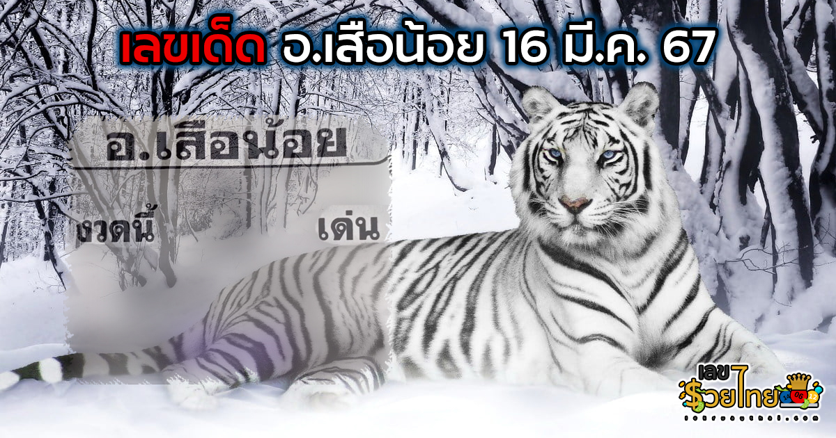 อ.เสือน้อย 16 3 67 แนวทางสลากกินแบ่งรัฐบาล เลขเด็ดเน้นๆ แม่นๆ!! ห้ามพลาด