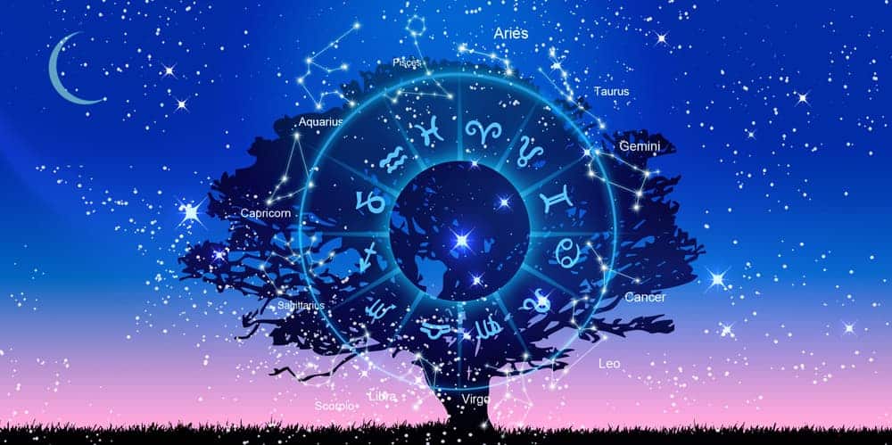 ดูดวงรายวัน 19/03/67-"Daily horoscope"