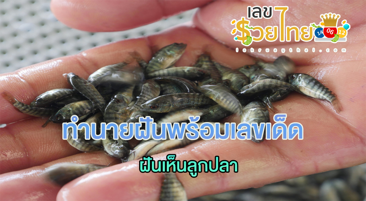 เปิดตำราทำนายฝัน ฝันเห็นลูกปลา ตีความหมายฝันนี้ได้อย่างไร เลขเด็ดอะไร เช็กเลย!