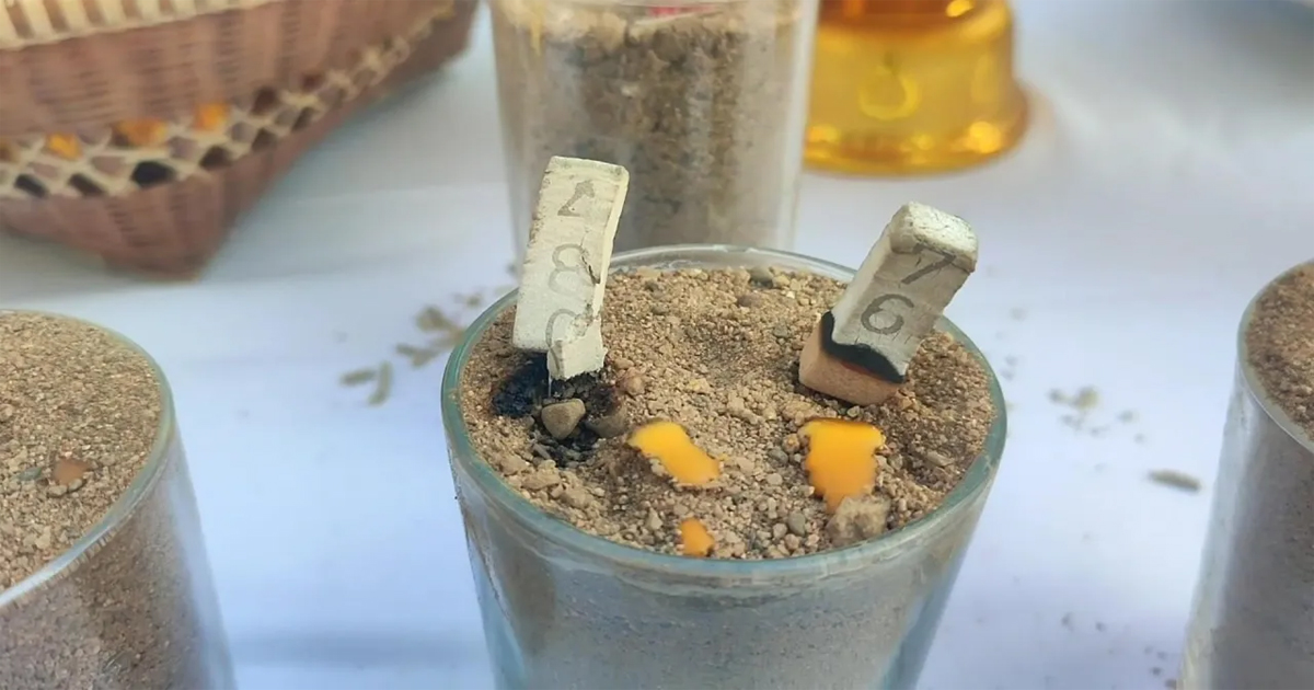 เลขเด็ดพ่อปู่ดำ-"Grandfather Dam's lucky number"