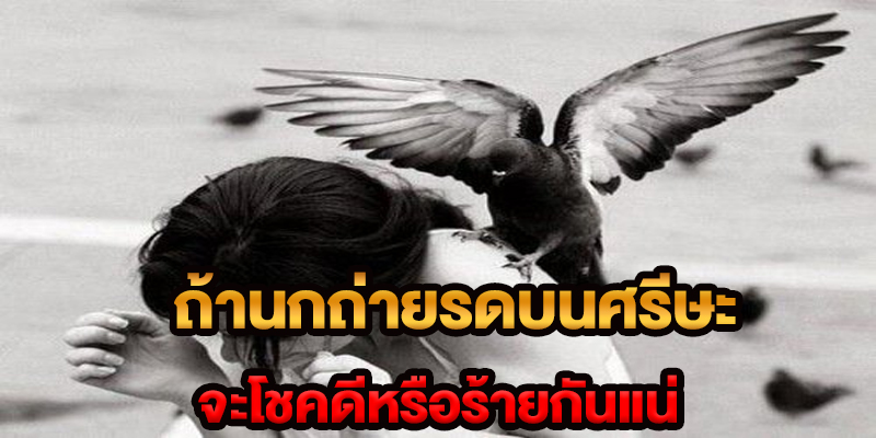 ถ้านกถ่ายรดบนศรีษะ-"If a bird poops on its head"