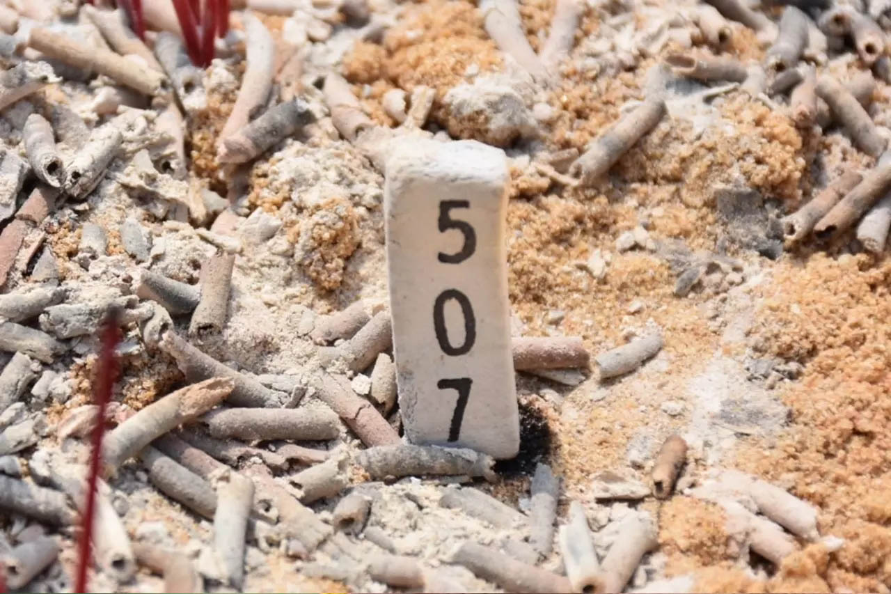แห่ส่อง เลขเด็ด - "Look at lucky numbers"
