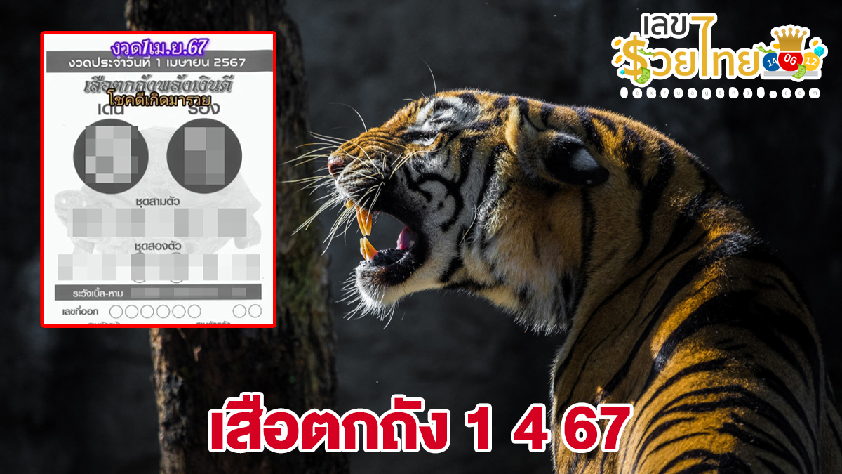 เสือตกถัง 1 4 67 คอหวยห้ามพลาดส่องเลขเด็ด แนวทางหวยรัฐบาลไทยแม่นๆ รีบจดด่วน!!