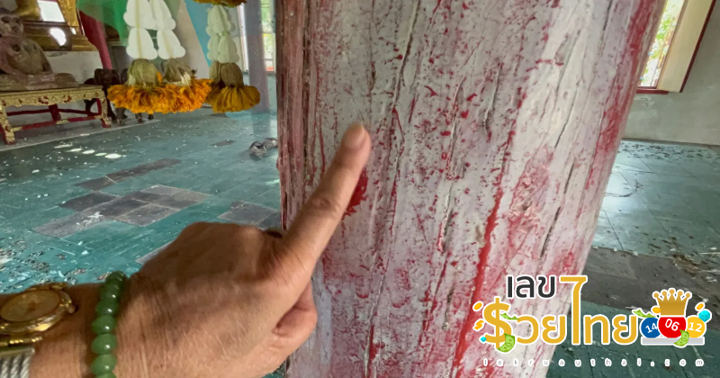 เลขเด็ดแม่นๆ -"Accurate lucky numbers"