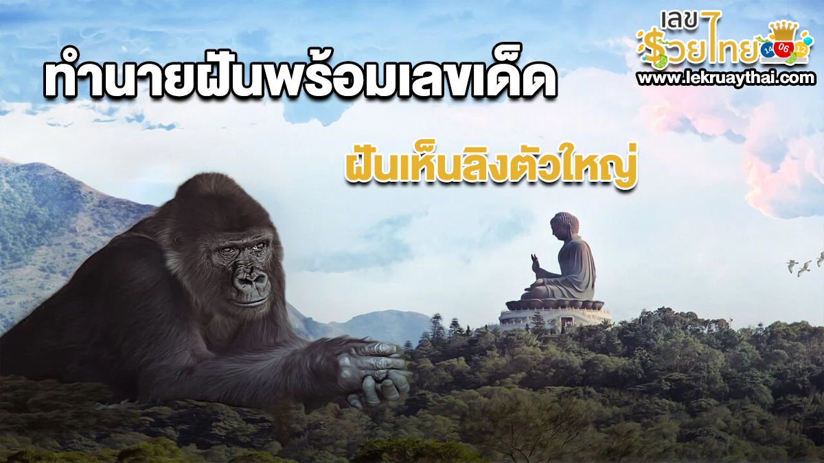เปิดตำราทำนายฝัน ฝันเห็นลิงตัวใหญ่ ตีความหมายฝันนี้ได้อย่างไร เลขเด็ดอะไร เช็กเลย!