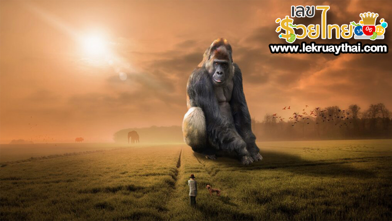 ฝันเห็นลิงกระโดดเกาะ - "Dream of seeing a monkey jumping on an island"